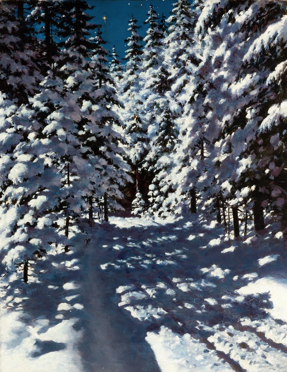 Forest 1892