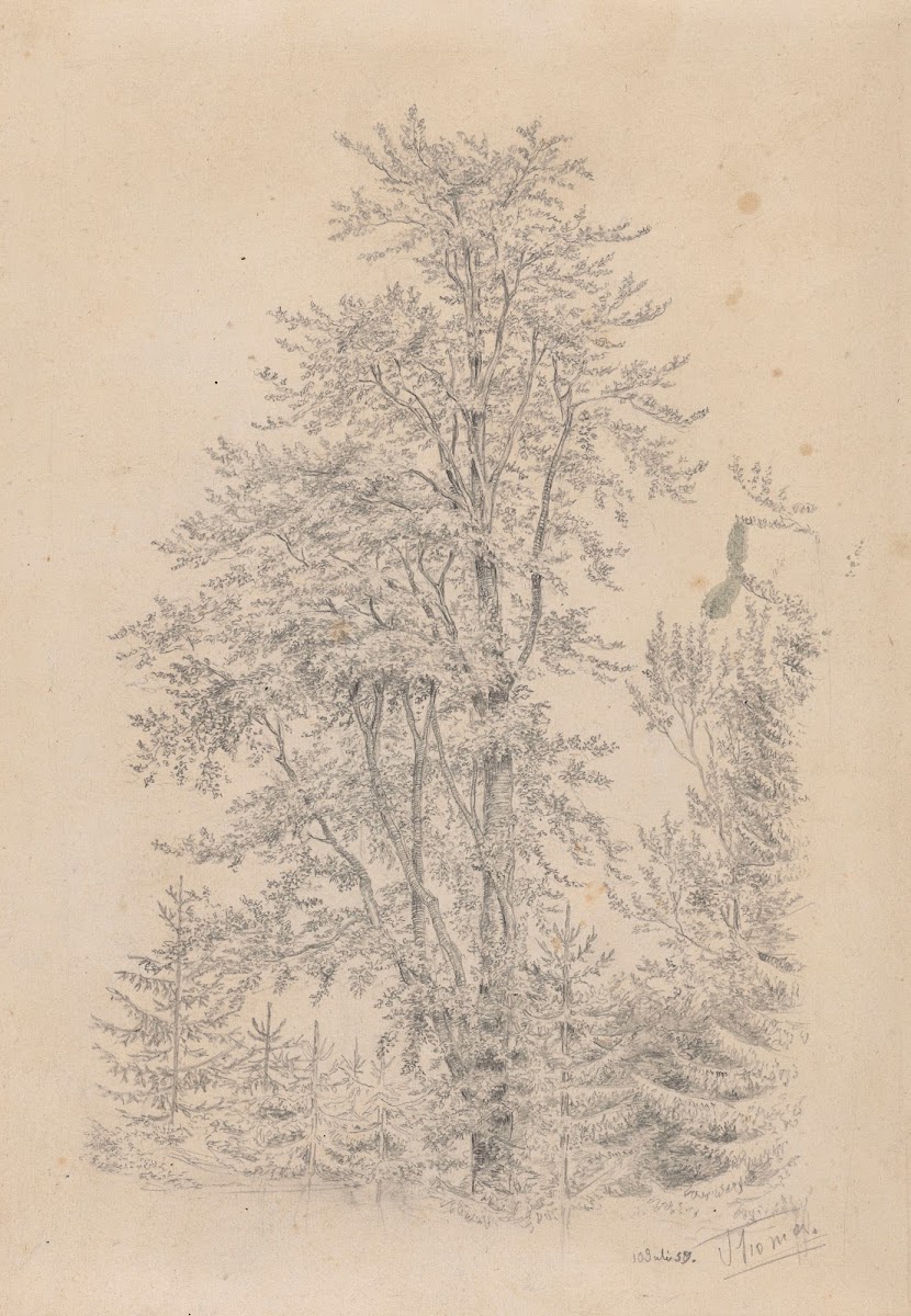 Forest Fragment with a Deciduous Tree in the Foreground 1859