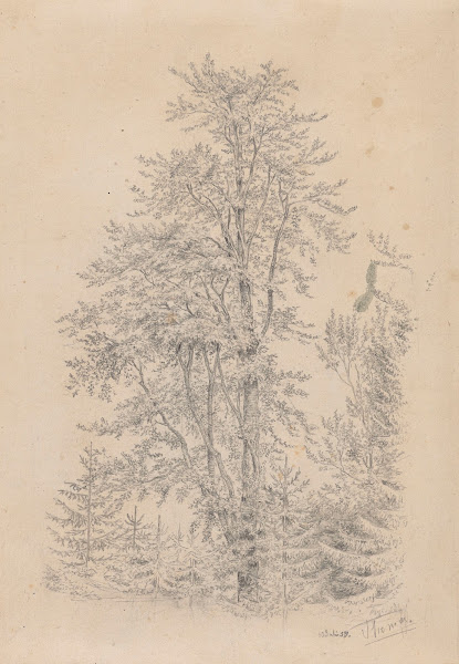 Forest Fragment with a Deciduous Tree in the Foreground 1859