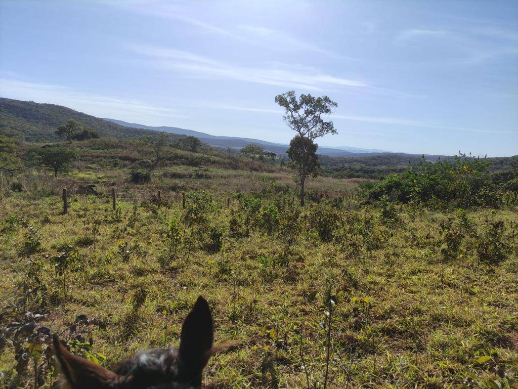 Fazenda em Niquelândia - GO 8