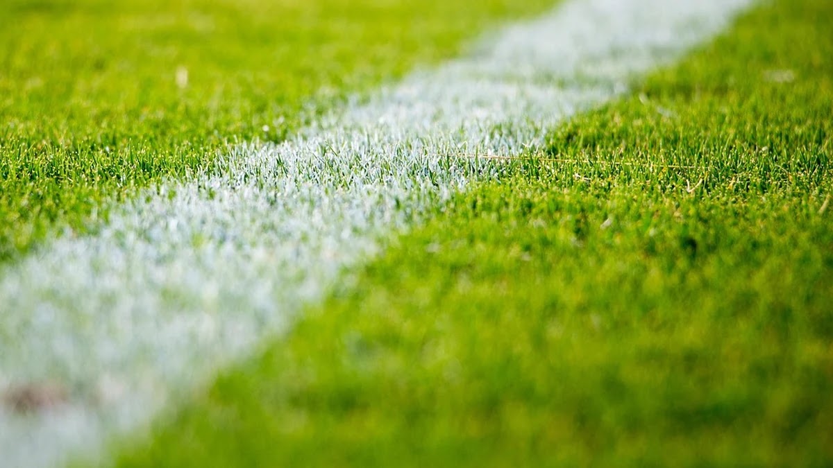 논리 오류별 금융사기 설득 구문의 구조와 특징 비교