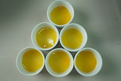 Cho 1/2 muỗng canh caramel ra chén(hũ), để nguội 3 phút hoặc cho vào ngăn lạnh tủ lạnh càng tốt. Bước này sẽ giúp cho caramel và hỗn hợp kem trứng tách biệt nhau.