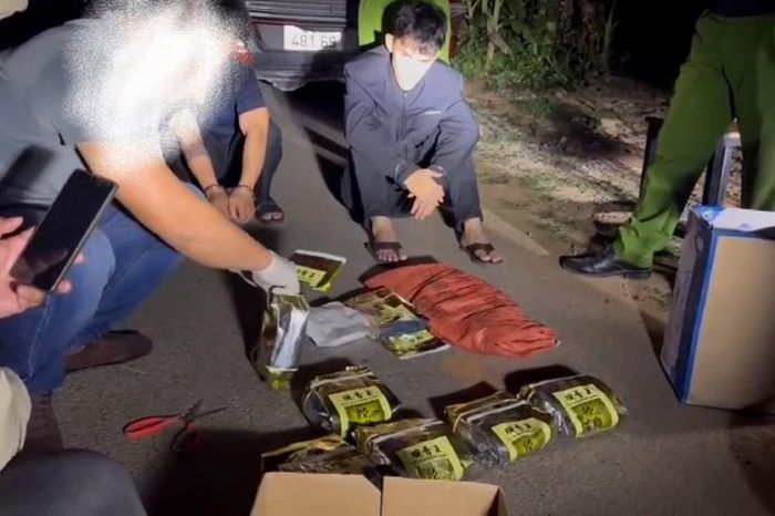 Triệt phá đường dây vận chuyển ma túy lớn từ biên giới về đồng bằng - Báo Văn hóa