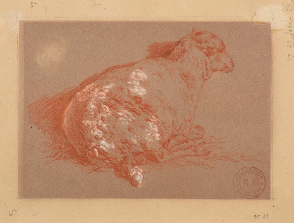 Mouton couché