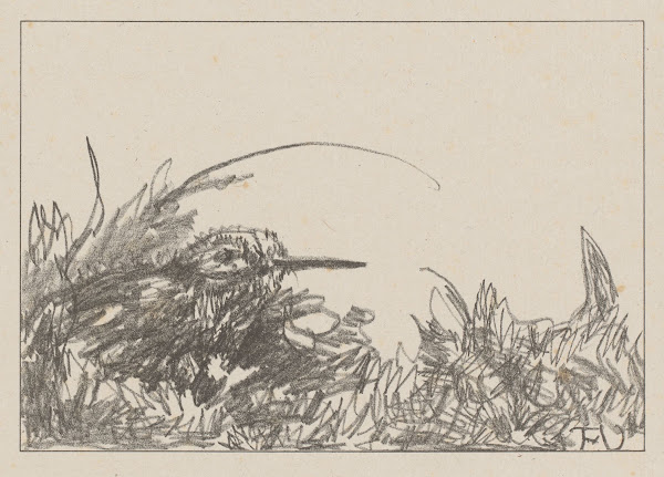 Tureluur in het gras 1878   1917
