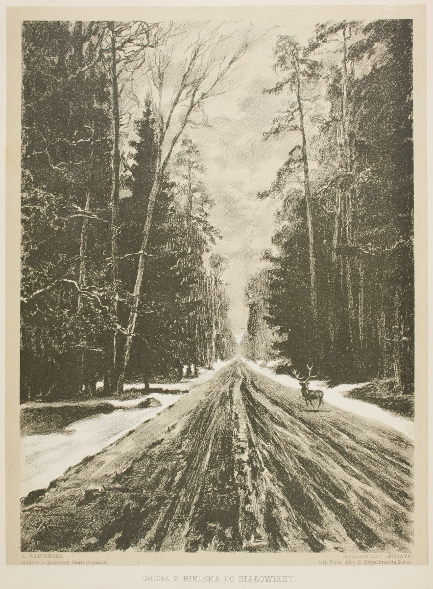 Droga z Bielska do Białowieży 1912