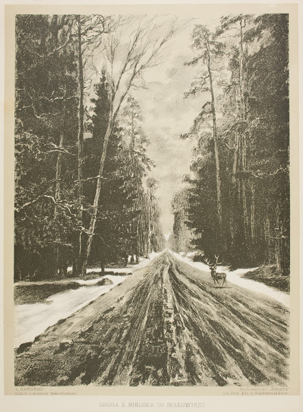 Droga z Bielska do Białowieży 1912