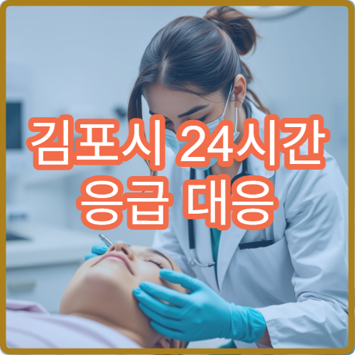 김포시 24시간 응급 대응 가능한 전문병원 야간진료