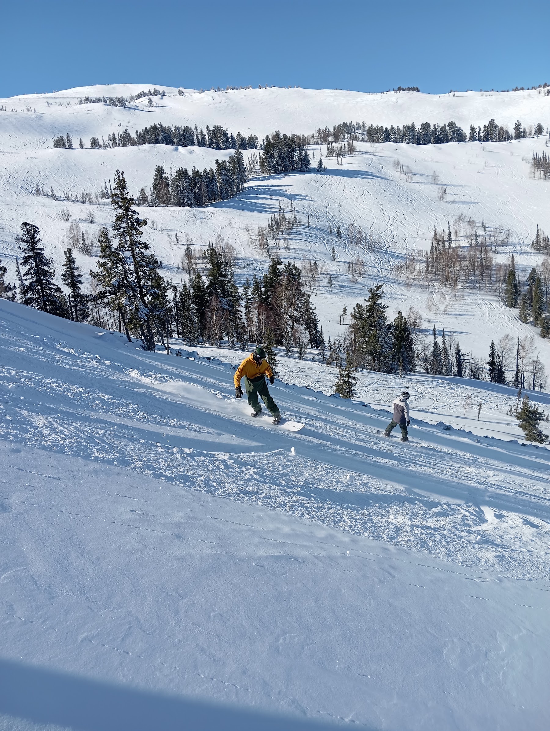 HELI Freeride