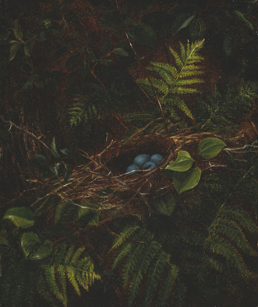Birds Nest and Ferns 1863