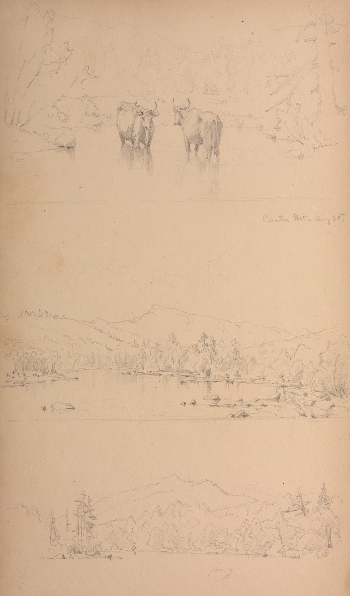 Carter Mt 1859