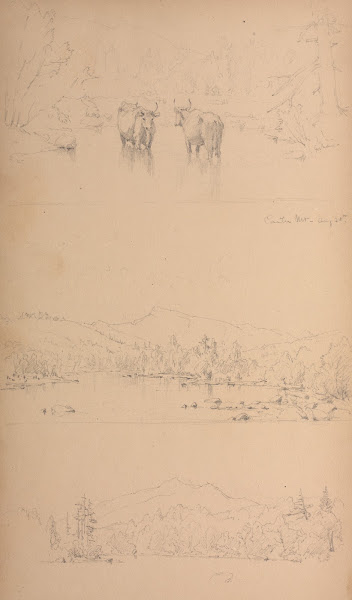 Carter Mt 1859