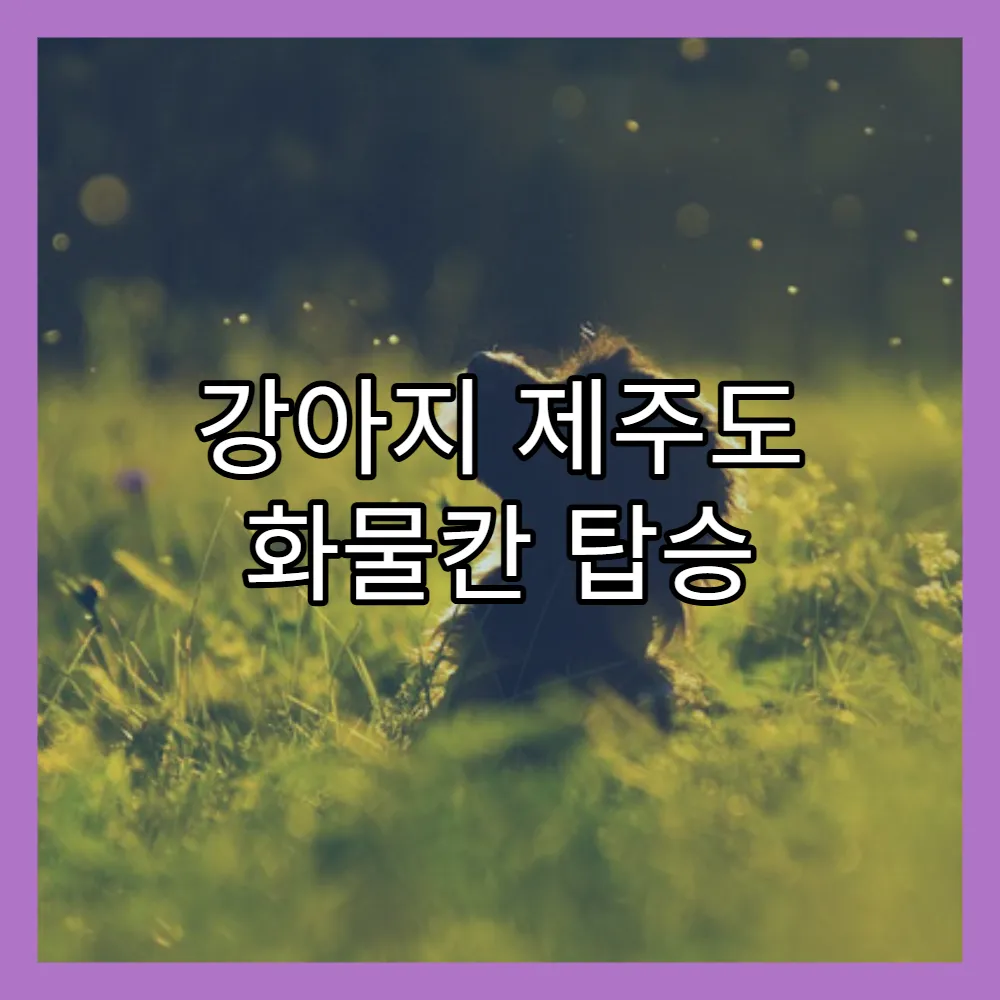 강아지 제주도 화물칸 탑승 후기(+이용팁, 보호자 경험담)