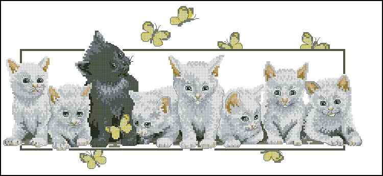 CMP 400574 Cats And Butterflies