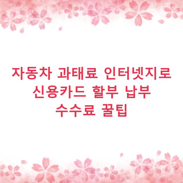 자동차 과태료 인터넷지로 신용카드 할부 납부 수수료 꿀팁