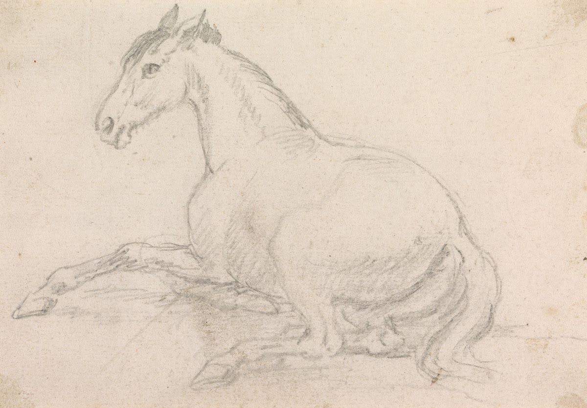 A Horse Lying Down