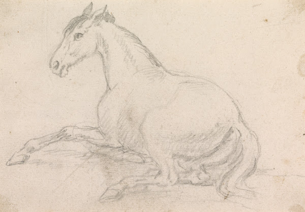 A Horse Lying Down