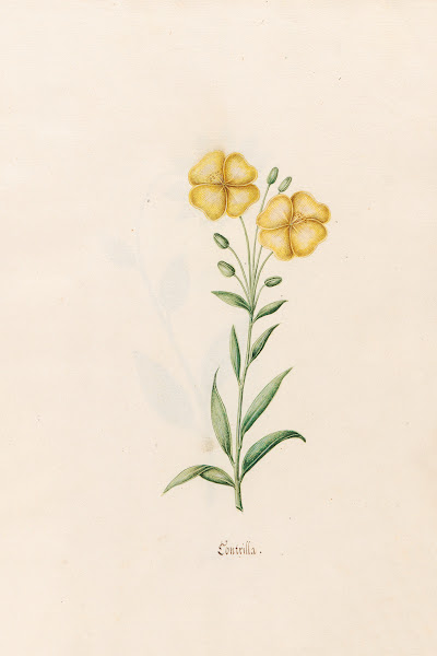 Kontrilla 1692