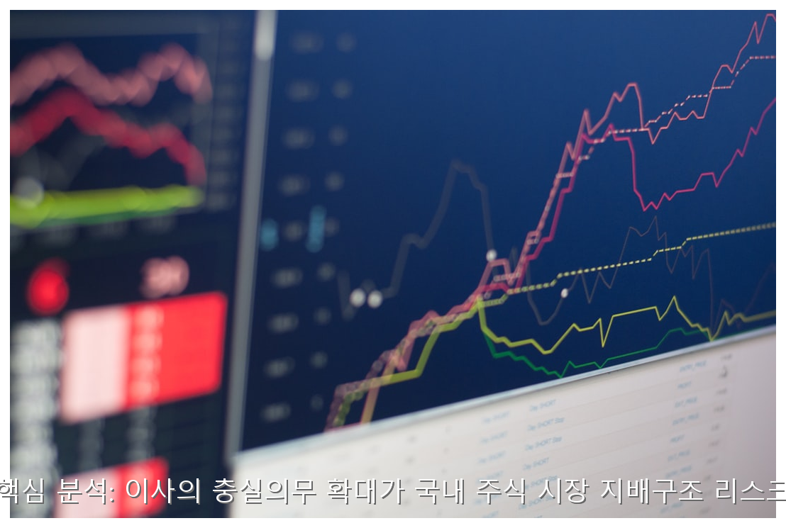 K-상법 개정안 핵심 분석: 이사의 충실의무 확대가 국내 주식 시장 지배구조 리스크에 미치는 영향 핵심 안내 및 분석 인포그래픽 (4)