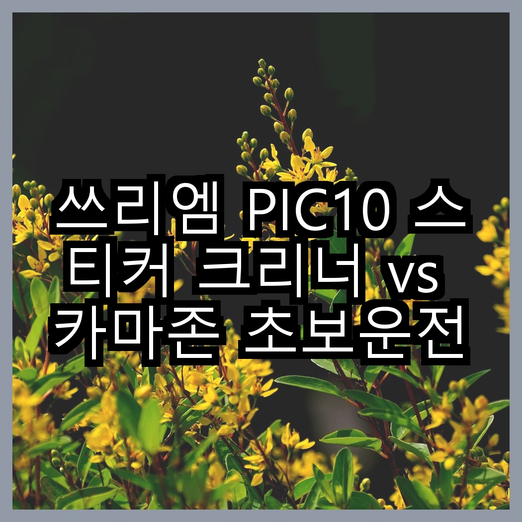 쓰리엠 PIC10 스티커 크리너 vs 카마존 초보운전 자석 스티커, 당신은 어떤 걸 선택할까요? 썸네일
