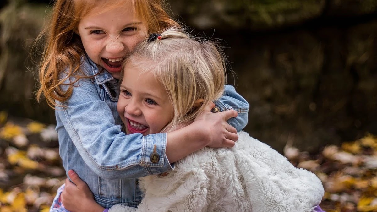 금리 인하 시기 투자 상품별 위험과 수익 비교
