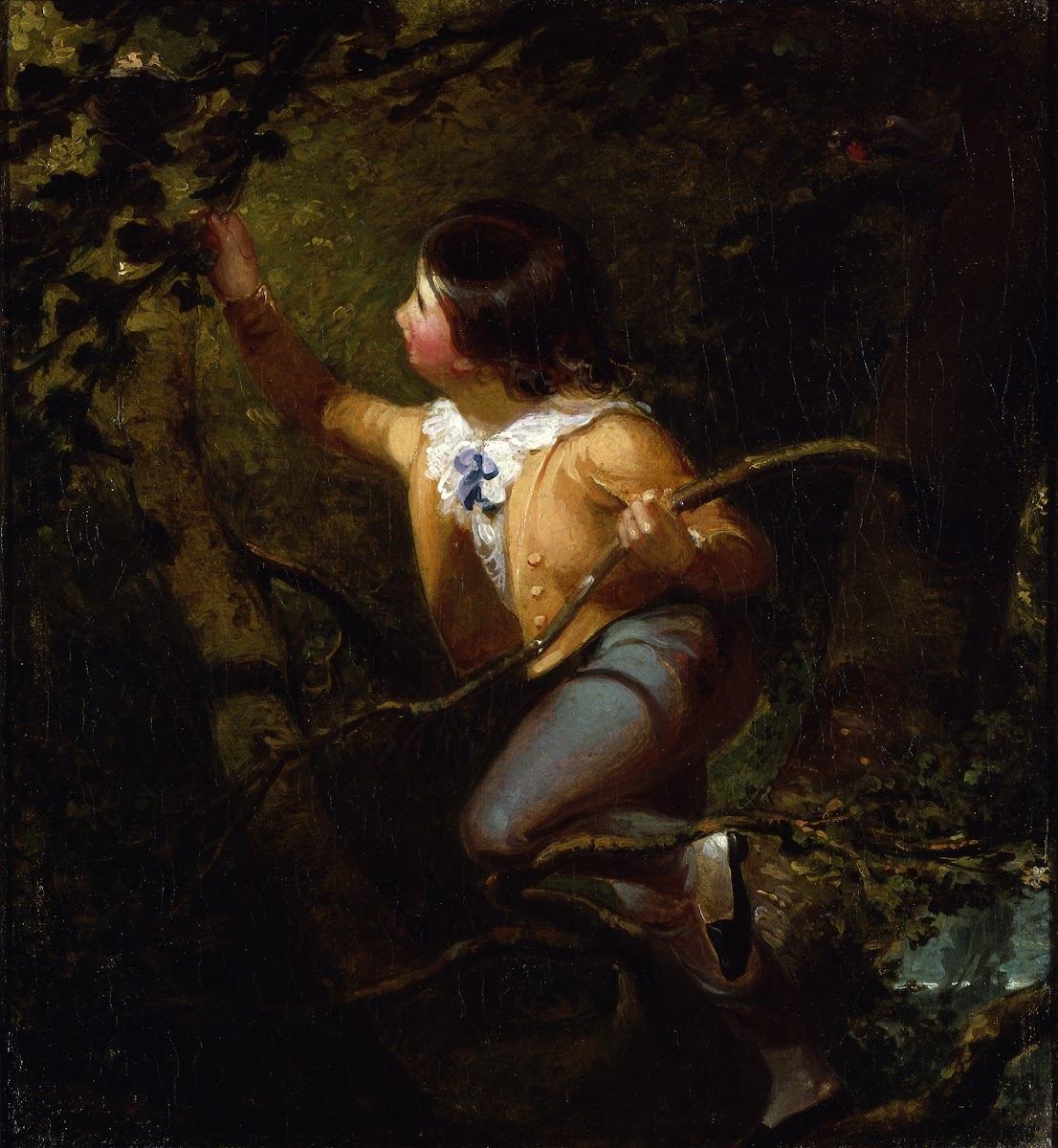 Bird Nesting 1837