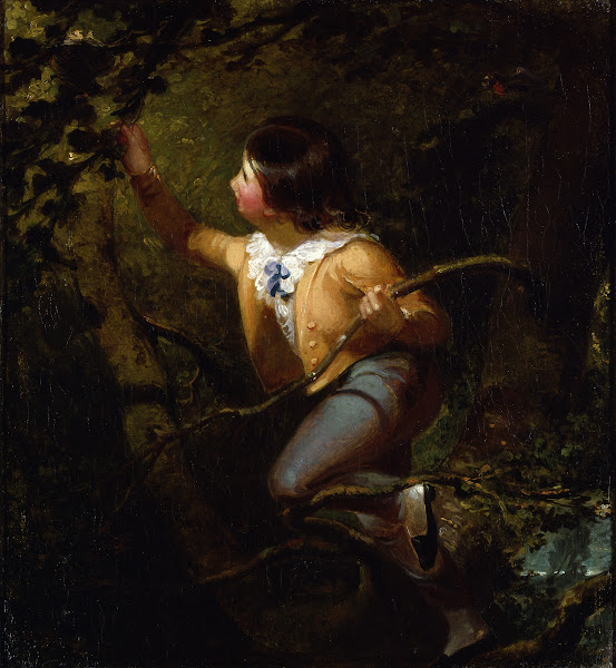 Bird Nesting 1837