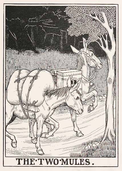 The Two Mules 1900
