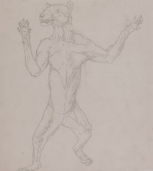 Tiger Body Standing in Human Posture 1795 to 1806