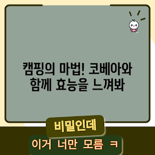 코베아기가스 효능, 캠핑 필수 아이템, 왜 코베아기가스를 선택해야 할까, 코베아기가스 사용 방법