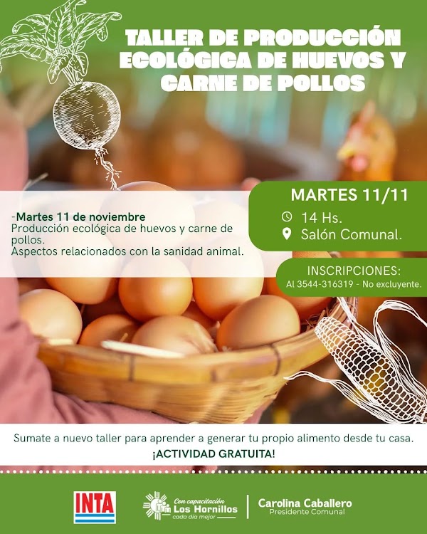 🌱🥬🥚TALLER PRODUCCIÓN ECOLÓGICA DE HUEVOS Y CARNE DE POLLOS🌽🫑🥚