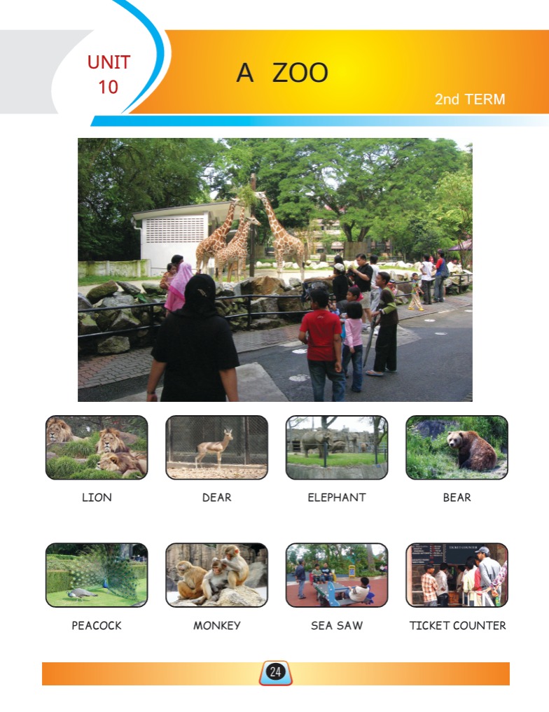 Social Studies Book B - Activity Book