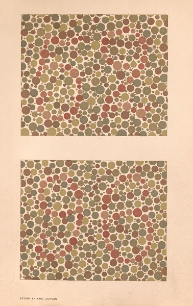Stillings pseudo isochromatic plates for testing color perception Pl15 1929