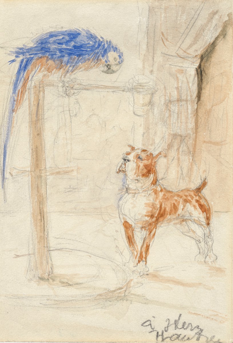Perroquet et chien circa 1883