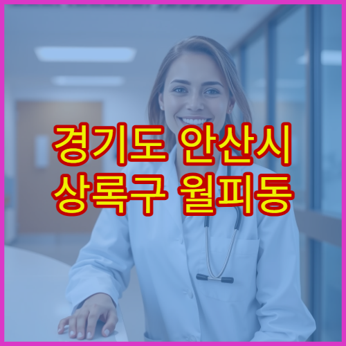 경기도 안산시 상록구 월피동 설날 명절 연휴 당번약국 월피문화센터·월피공원 주변 심야 운영 감기약 취급 약국