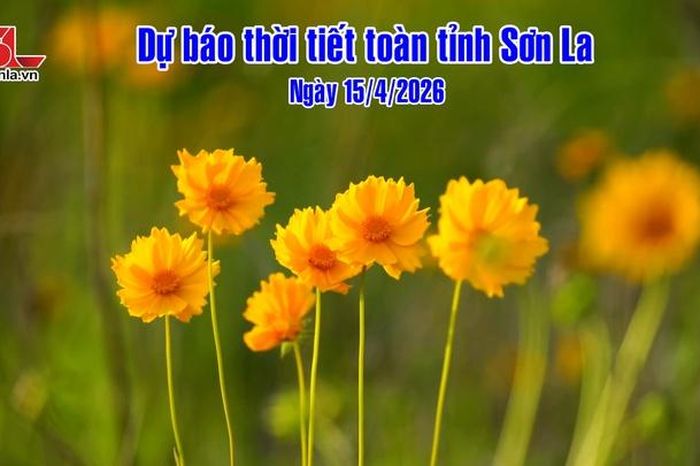 Dự báo thời tiết toàn tỉnh Sơn La ngày 15/4/2026 - Báo Sơn La