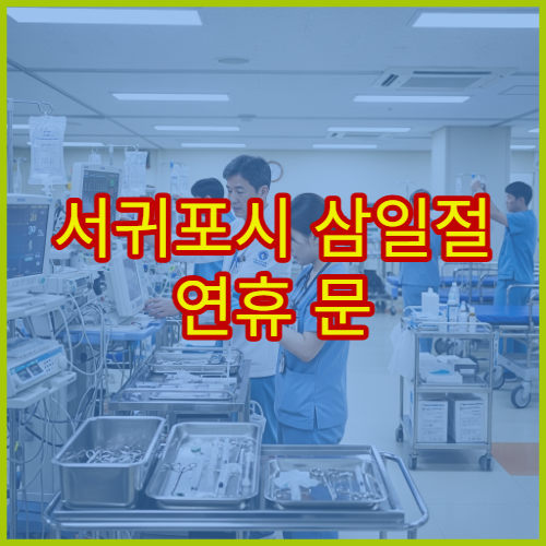 서귀포시 삼일절 연휴 문 여는 병원 어디? 대체공휴일 진료 가능 시간 확인
