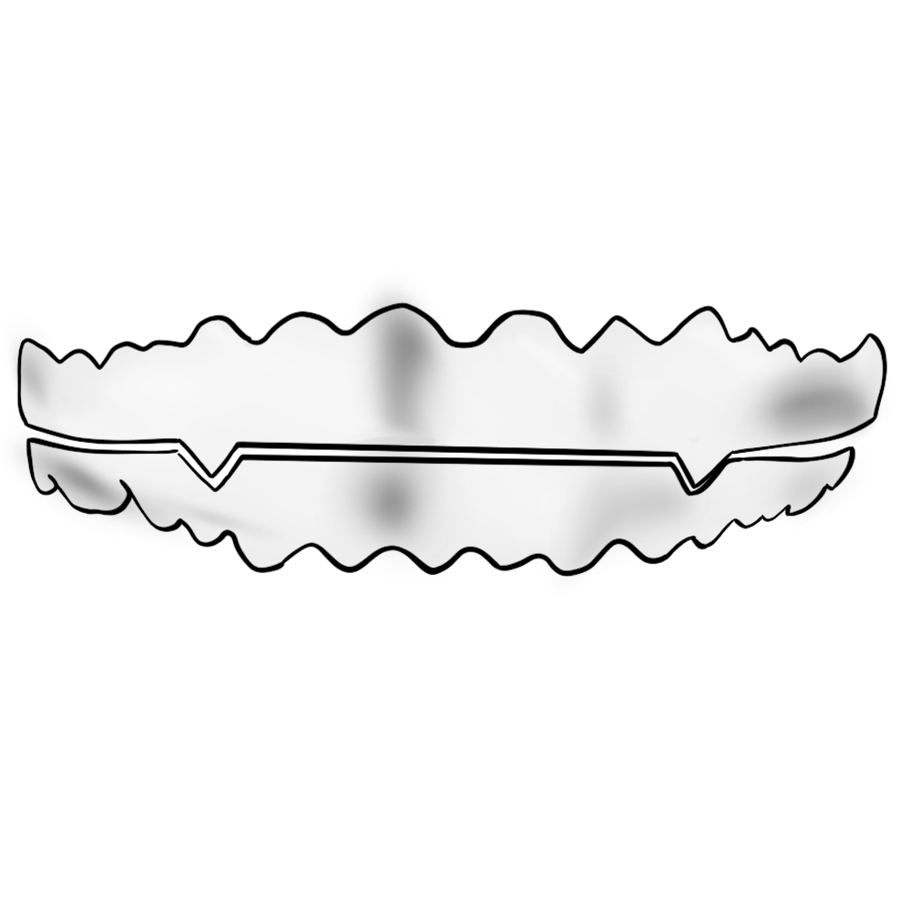Yeezy Ye's Grills product image