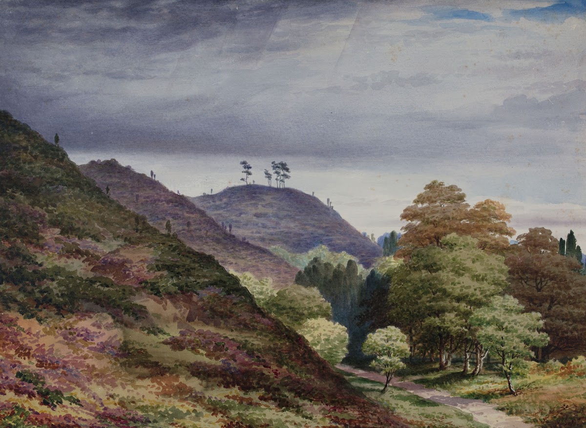 Cofton Hill 1850 1880