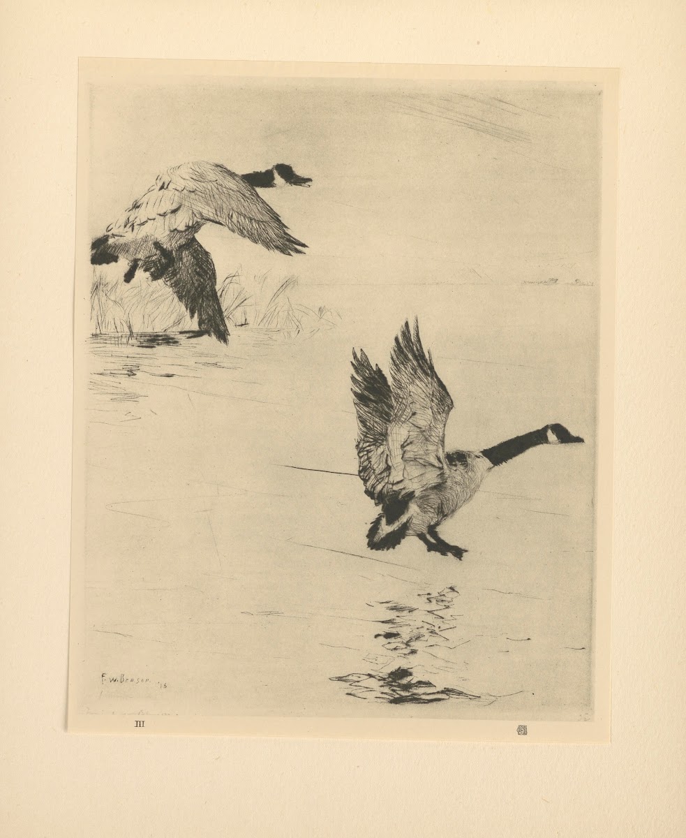Geese Alighting 20th century
