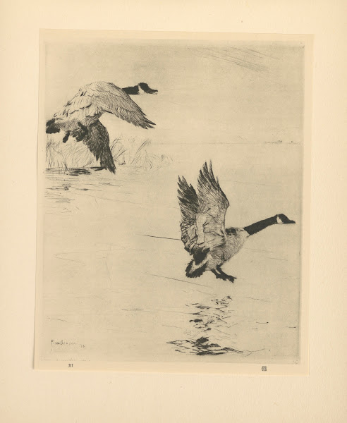 Geese Alighting 20th century