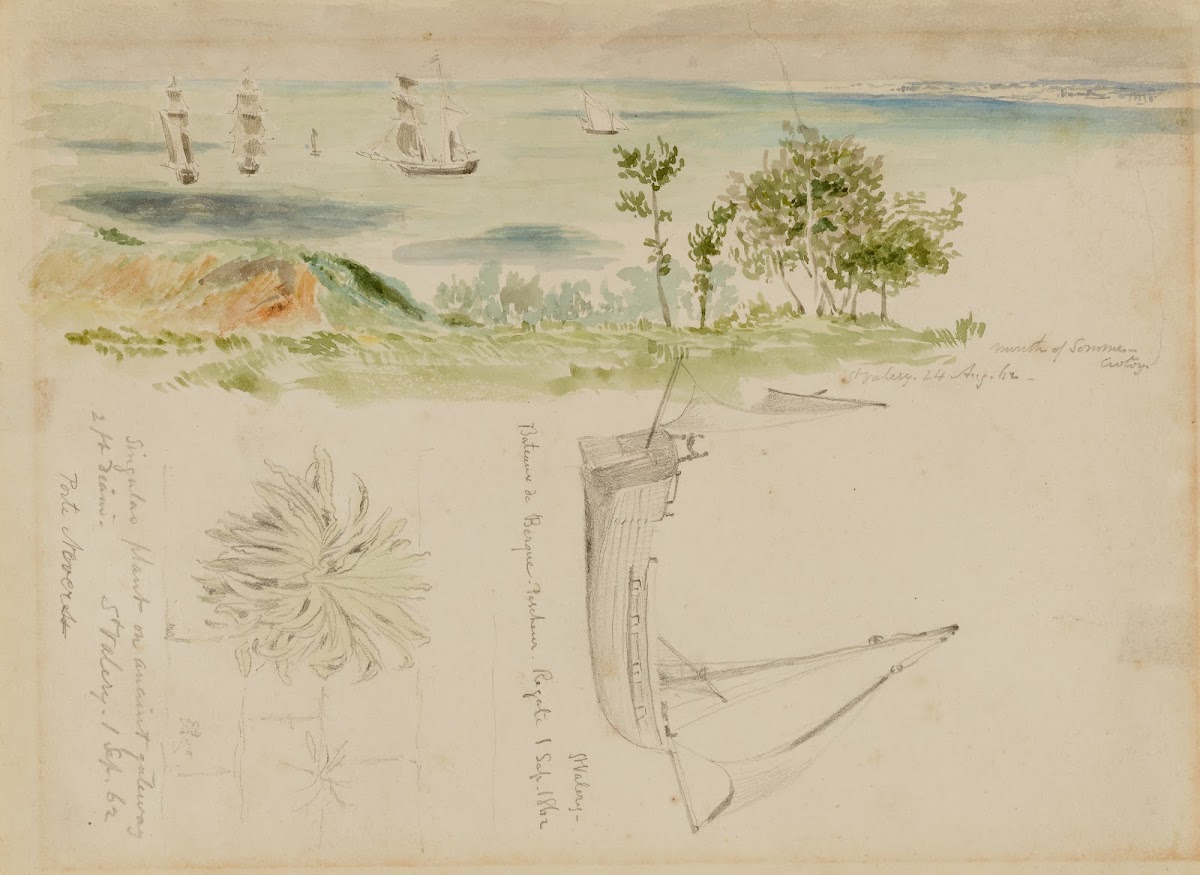 Coastal Scene