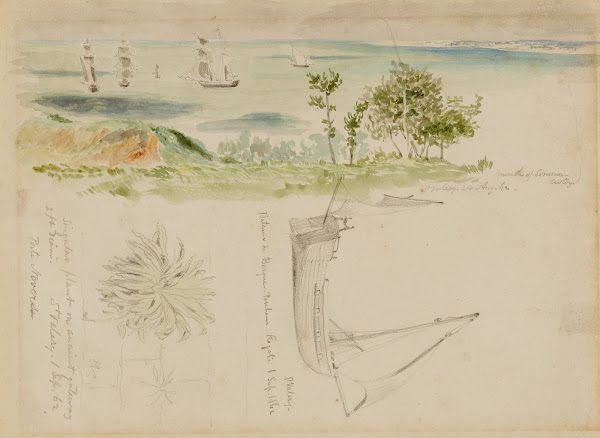 Coastal Scene