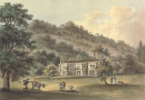 Grove Cottage Box Hill Surrey the Seat of George Barclay Esq ca 1812