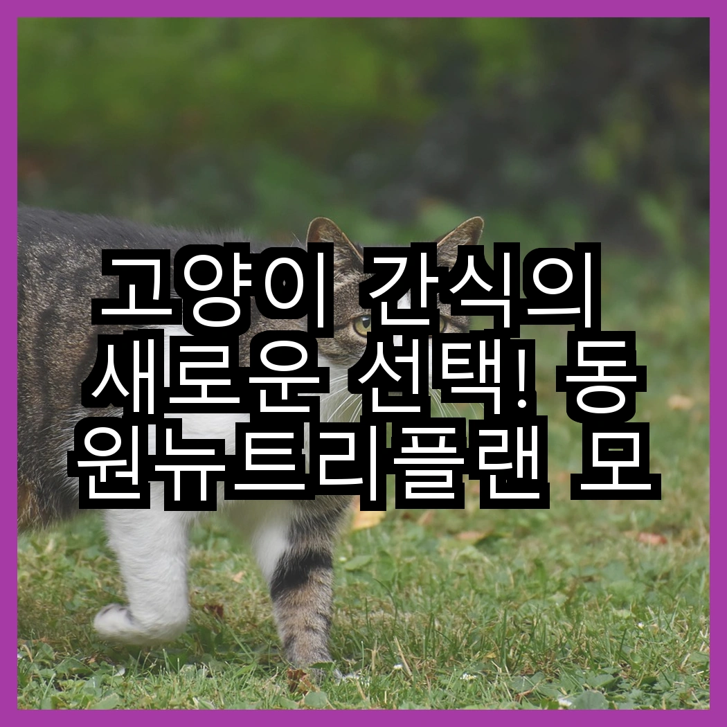 고양이 간식의 새로운 선택! 동원뉴트리플랜 모이스트루 vs 습식캔, 어떤 게 더 맛있을까? 썸네일