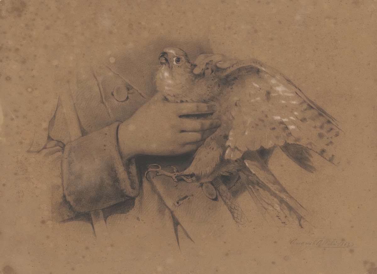 Torenvalk gevangen in handen 1852