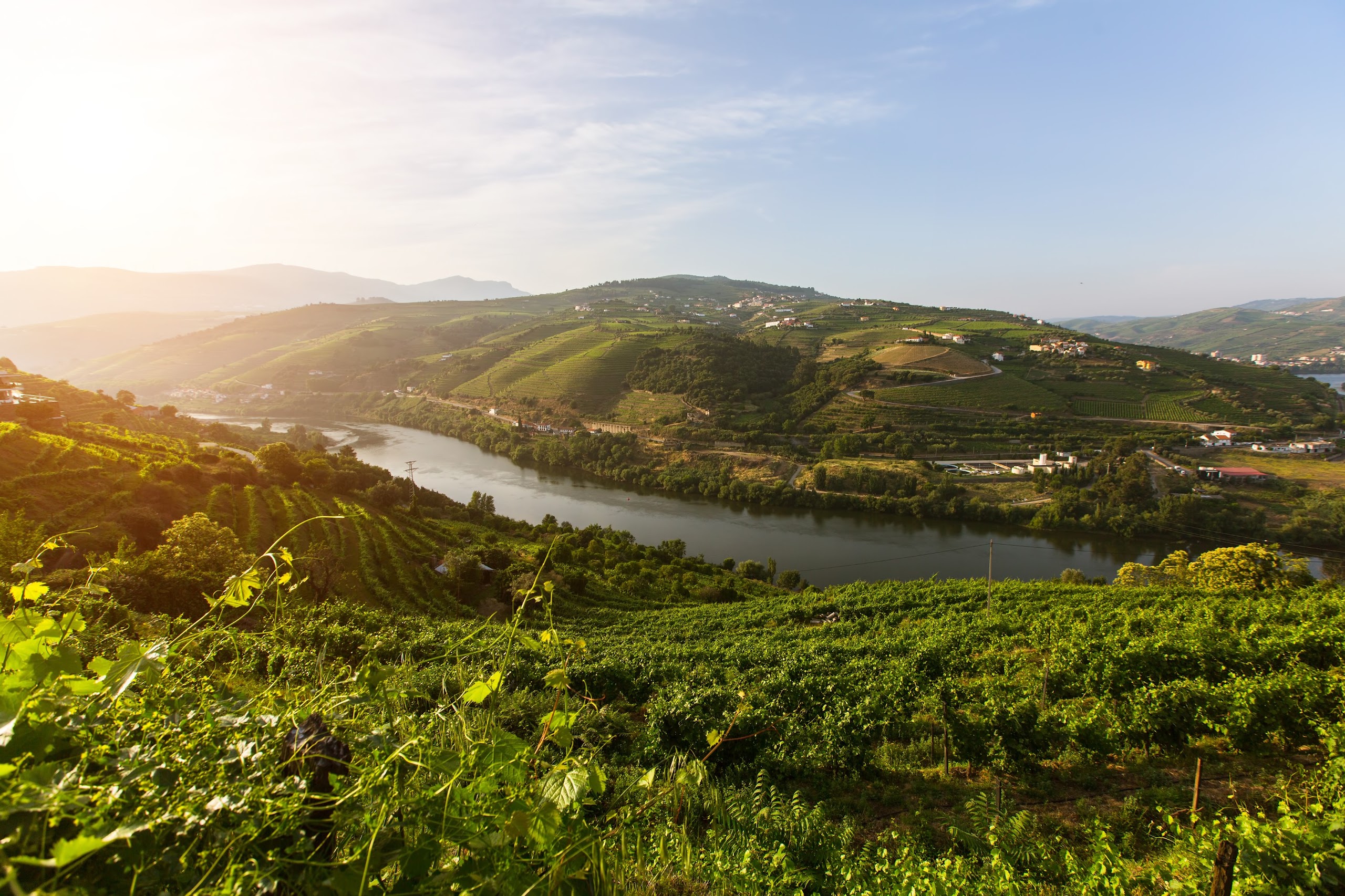 Douro River Cruises: A Water's-Eye View from Six Senses Douro Valley