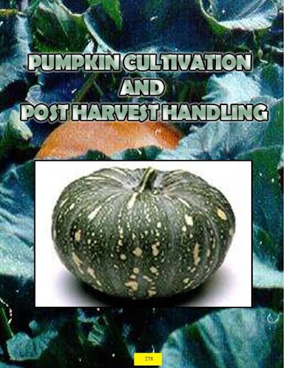 Pumpkin Cultivation And Post Harvest Handling