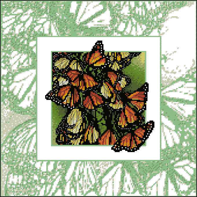 CMP JAN013 0283 Wings