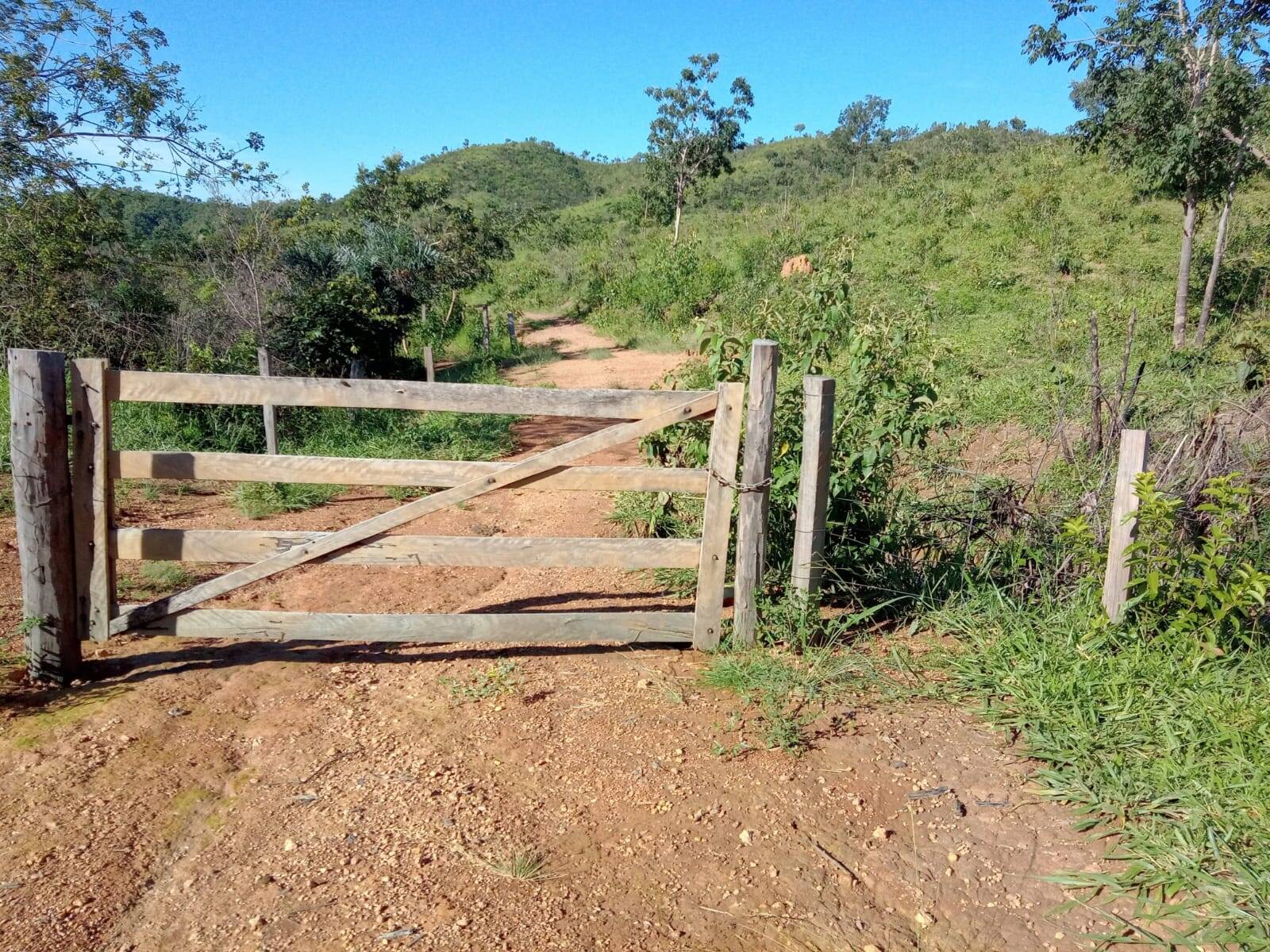 Fazenda em Planaltina - DF 4